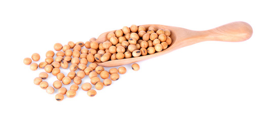 Soy beans in wooden spoon on white background.