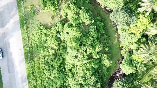 AERIAL SHOT: Puro and Lamba, Legazpi City, Philippines. Views of cocount trees, Mayon Volcano and the sea