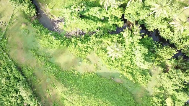 AERIAL SHOT: Puro and Lamba, Legazpi City, Philippines. Views of cocount trees, Mayon Volcano and the sea