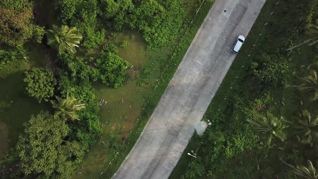 AERIAL SHOT: Puro and Lamba, Legazpi City, Philippines. Views of cocount trees, Mayon Volcano and the sea