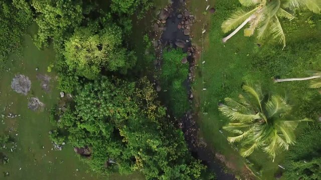 AERIAL SHOT: Puro and Lamba, Legazpi City, Philippines. Views of cocount trees, Mayon Volcano and the sea