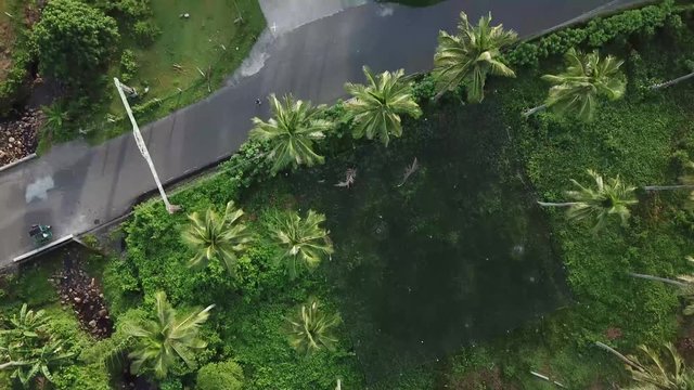 AERIAL SHOT: Puro and Lamba, Legazpi City, Philippines. Views of cocount trees, Mayon Volcano and the sea