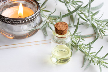 A bottle of wormwood essential oil with fresh Artemisia Absinthium twigs