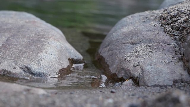 Beautiful Yuba River in Northern California flowing in the middle of summer