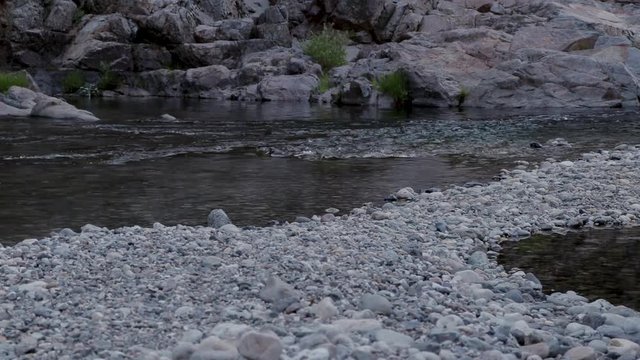 Beautiful Yuba River in Northern California flowing in the middle of summer