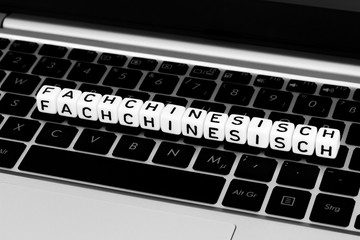 Fachchinesisch