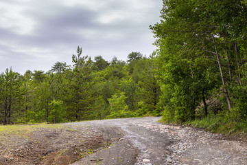Fototapeta na wymiar Gravel road in the Albanian mountains, Lure National Park.