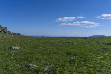 Fototapeta na wymiar Summer arctic landscape - grassy rocky tundra under a blue sky
