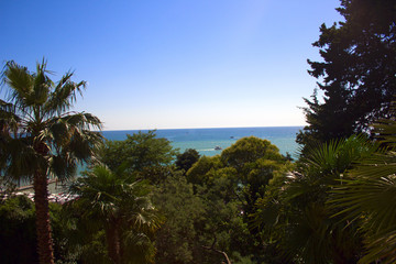 Fototapeta na wymiar scenic view on a sea and blue sky with palms and trees frame in asummer sunny day