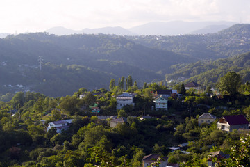 Fototapeta na wymiar beautiful view of the Caucasus mountains through green trees