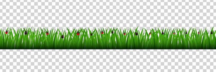 Vector realistic isolated grass border with mite insects for decoration and covering on the transparent background. Concept of meadow, field and danger of nature.