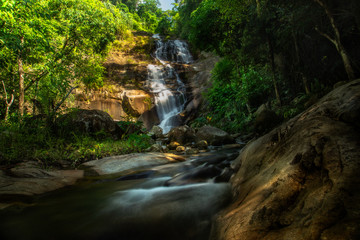 Obraz premium Small waterfall in the forest