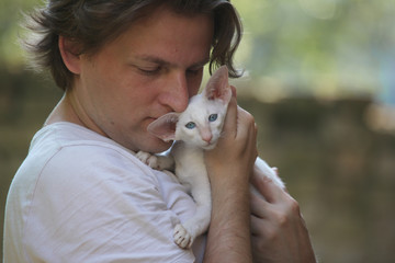 A man holds a kitten of a Siamese breed of light color