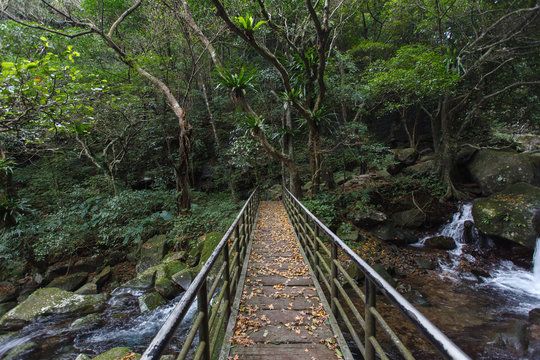 Pedestrian Bridge crossing a river, dense forest in northern Taiwan. Asia adventure, lush green forest and trees with river flowing below the bridge. Parallel converging lines, Hiking adventure