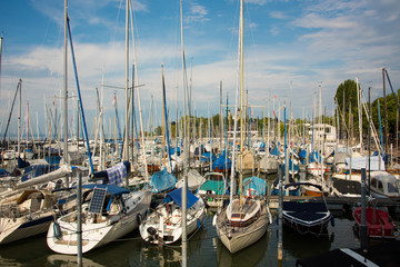 Fototapeta premium View into the marina of Friedrichshafen at Lake Constance with its many sailing yachts