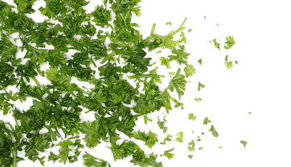 Fresh green chopped parsley leaves isolated on white background and texture, top view 