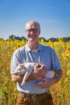 Mann vor Sonnenblumenfeld mit Ferkel im Arm freut sich