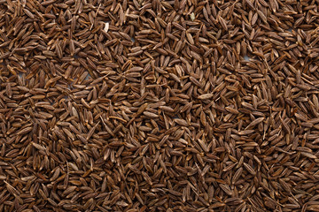 fragrant Zira on a white acrylic background