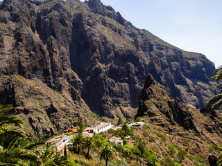 View of Masca village with palms and mountains, Tenerife, Canary islands, Spain