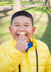 Asian chubby boy eating strawberry icecream in park.