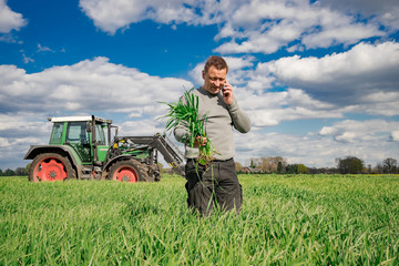 Landwirt mit Getreidepflanze in der Hand ruft seine Fachberatung an
