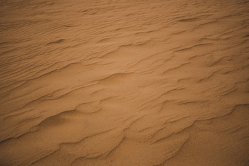 Wind ripples from a breeze over the orange desert sand
