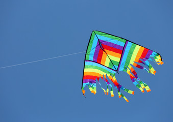 kite on the sky