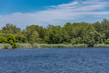 Marhs land and wet lands with pond and animals in state park