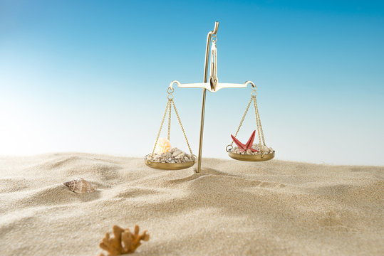 Scales of Justice with Sand and Sea Shells