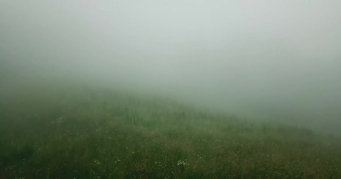 Remote pasture enveloped in morning fog