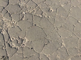 old asphalt road in the rays of the setting sun