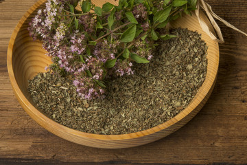 Origanum vulgare (oregano) herb - spice on a table
