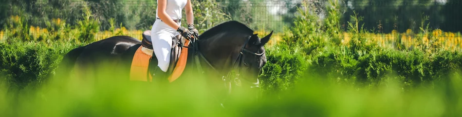 Papier Peint photo Léquitation Horse horizontal banner for website header design. Dressage horse and rider in uniform during equestrian competition. Blur green trees as background. 