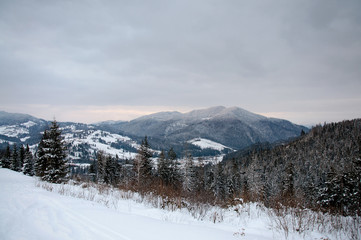 Fototapeta na wymiar View Carpathian mountains. On background of forest and ski slopes. Close up. Winter nature. Heavy snow falls. Landscape. Panorama.