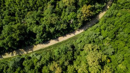 Fototapeta premium Aerial Top Down View Of Caucasus Mountains Forest Trees. Directly above view from drone on a sunny summer day.