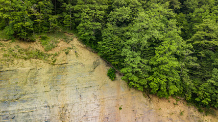 Fototapeta premium Background texture of rocky terrain with trees