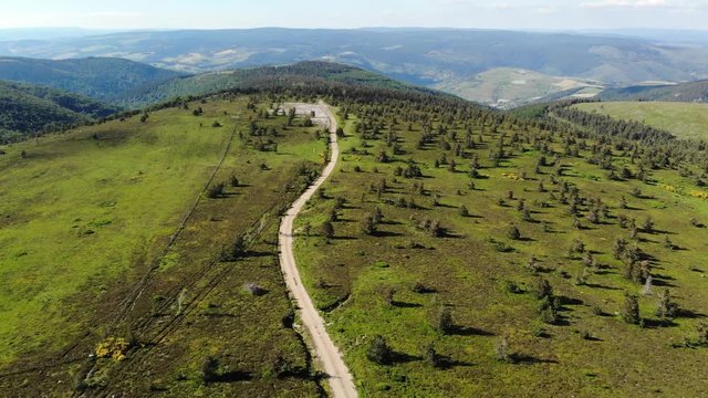 survol d'un chemin qui traverse un plateau vert en montagne au milieu de sapins &eacute;parpill&eacute;s
