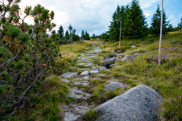 summer landscape in Krkonose giant mountains in czechia