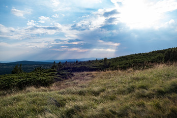 summer landscape in Krkonose giant mountains in czechia