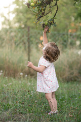 M&auml;dchen pfl&uuml;ckt Apfel 2