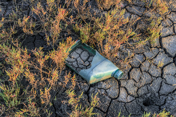 Irregularly discarded automotive oil container, environmental pollution in Brazilian mangrove,...