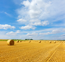 Fototapeta premium Yellow golden straw bales of hay in the stubble field, agricultural field under a blue sky with clouds