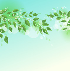 Fototapeta na wymiar Vector illustration Natural background with green leaves. Fresh green tree leaves