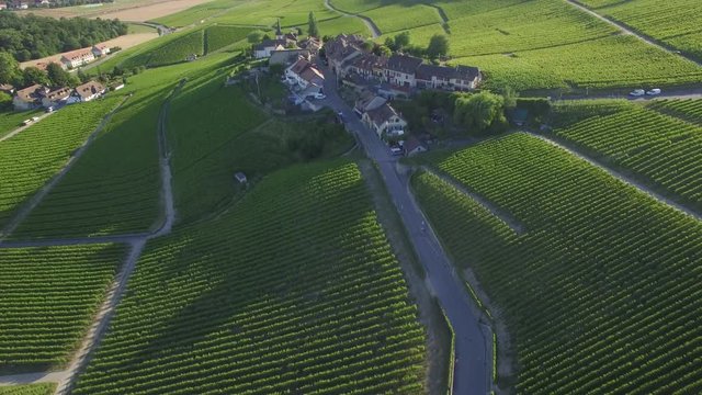 4K ungraded Aerial footage of Vineyard fields between Lausanne and Geneva in Switzerland -UHD