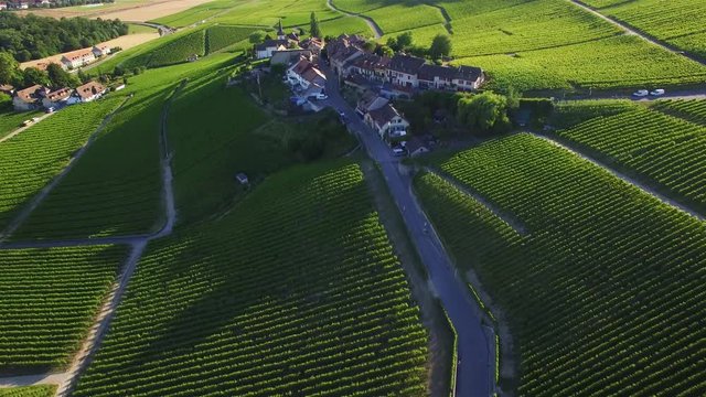 4K Aerial footage of Vineyard fields between Lausanne and Geneva in Switzerland -UHD