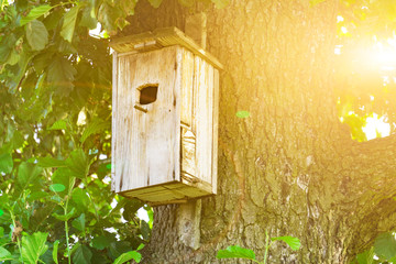 A birdhouse on a tree illuminated by the sun,