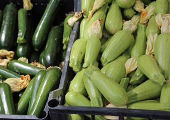 zucchini for sale at vegetable market