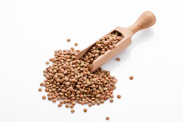 raw lentils on a white acrylic background