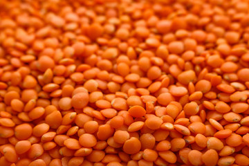 raw lentils on a white acrylic background