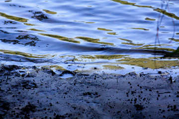 water meets the shore